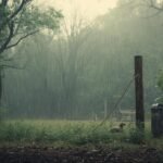 Is It Illegal to Collect Rainwater in New York?